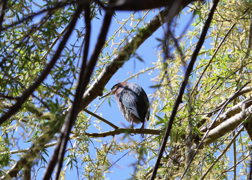 Charming in a crotchety old man kind of way.  