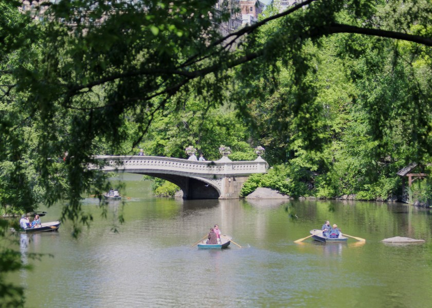 View of Central Park Lake from the Ramble