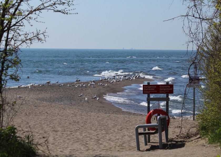 The Point at Pt. Pelee
