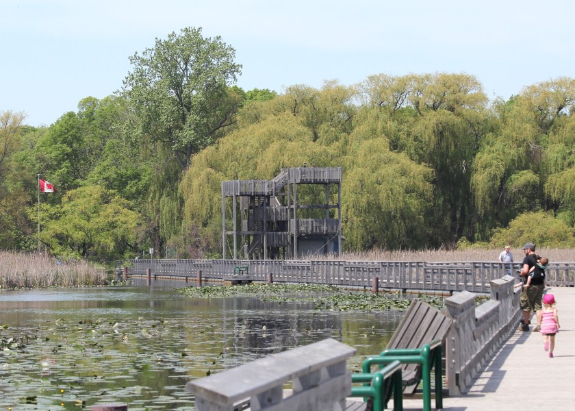 Observation Deck at Marsh Boardwalk, Pt. Pelee