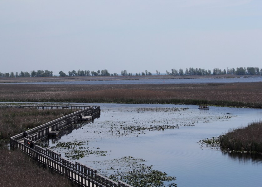Marsh Boardwalk trail at Pt. Pelee