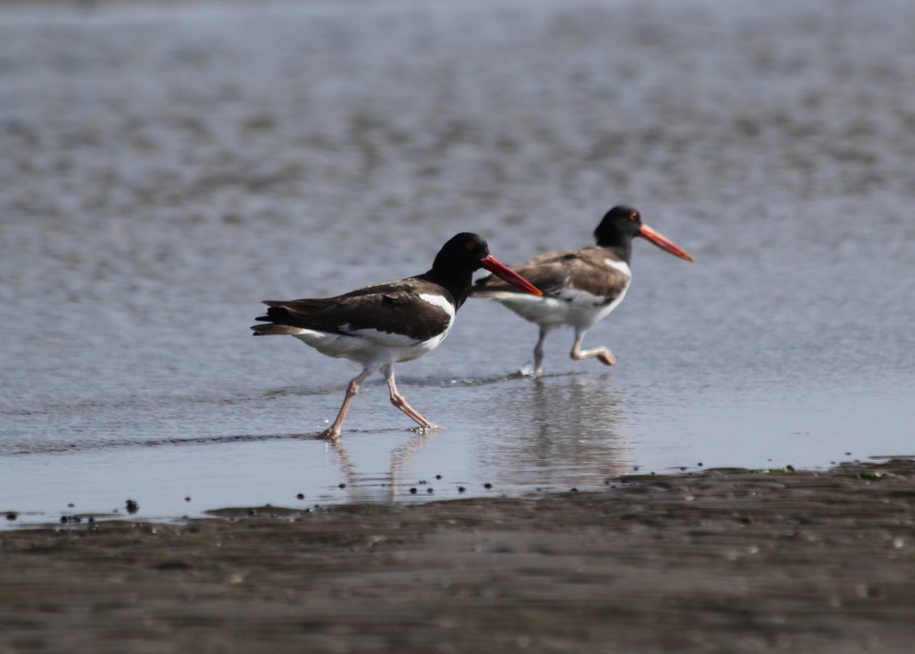 How can you not love these guys?